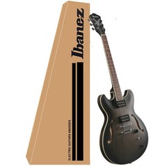 Ibanez Artcore Electric Guitar Semi-Hollow Transparent Black Flat (AS53TKF)