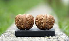 Wenwan Walnuts hand massage ball Chinese Ingot Ma walnut