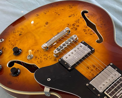 Semi-Hollow Electric Guitar – Maple top HH pickups mahogany neck Best choice