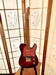 Leo Jaymz Pop caster, Telecaster Style With A Flamed Top, Locking Tuners. Mint